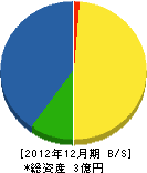 大坂建設 貸借対照表 2012年12月期