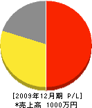 枝坂工業 損益計算書 2009年12月期