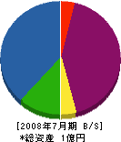山田技研 貸借対照表 2008年7月期