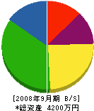 柴田組 貸借対照表 2008年9月期