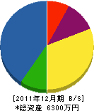 大島造園 貸借対照表 2011年12月期