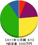 松勝建設 貸借対照表 2011年12月期