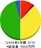 カタヤマ 貸借対照表 2008年6月期