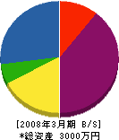 山村工務店 貸借対照表 2008年3月期
