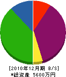 小川設備 貸借対照表 2010年12月期