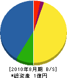 松本観翠園 貸借対照表 2010年8月期