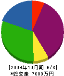木村建設 貸借対照表 2009年10月期