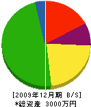 園田業務店 貸借対照表 2009年12月期