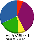 藤田木材 貸借対照表 2008年8月期