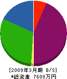 大功電工社 貸借対照表 2009年3月期
