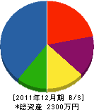 熊野川開発 貸借対照表 2011年12月期