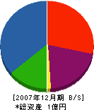瀬村工務所 貸借対照表 2007年12月期