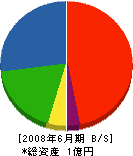 黒沢建築 貸借対照表 2008年6月期