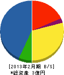 大塚土木 貸借対照表 2013年2月期