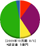 永森 貸借対照表 2009年10月期