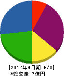 栄光産業 貸借対照表 2012年9月期
