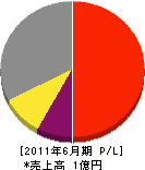 岡本工業所 損益計算書 2011年6月期