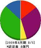 井口石材 貸借対照表 2009年4月期