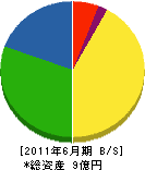 加藤商事 貸借対照表 2011年6月期