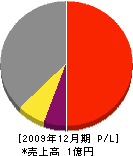 晃陽電業 損益計算書 2009年12月期