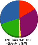 岡本採石造園 貸借対照表 2008年6月期