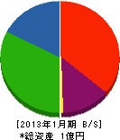 山本電機 貸借対照表 2013年1月期