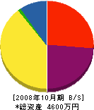 早川建設 貸借対照表 2008年10月期