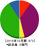 武蔵野工業 貸借対照表 2010年10月期