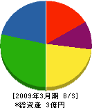 松田工業所 貸借対照表 2009年3月期