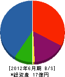 大島応用 貸借対照表 2012年6月期