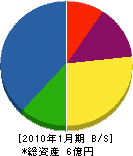 松本広域森林組合 貸借対照表 2010年1月期