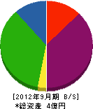 サステン建築 貸借対照表 2012年9月期