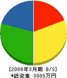 ジャパンヒューマンベイス 貸借対照表 2008年3月期
