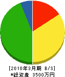 シノキ電気 貸借対照表 2010年3月期