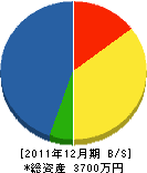 丸元電気工事 貸借対照表 2011年12月期