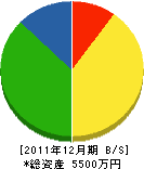平山電気店 貸借対照表 2011年12月期