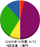 鈴木植物園 貸借対照表 2008年10月期
