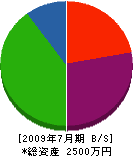 岡本組 貸借対照表 2009年7月期
