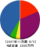 大島電気商会 貸借対照表 2007年11月期