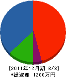 櫻電設 貸借対照表 2011年12月期