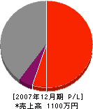 桐山塗装 損益計算書 2007年12月期