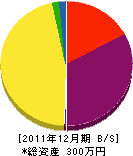 山添工務店 貸借対照表 2011年12月期
