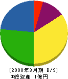 岩井工務店 貸借対照表 2008年3月期