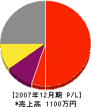 富山レジン商事 損益計算書 2007年12月期