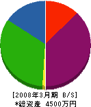 田澤機械 貸借対照表 2008年3月期