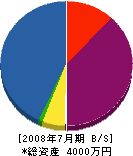 大阪緑地 貸借対照表 2008年7月期