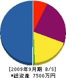 井上商事 貸借対照表 2009年9月期