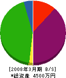 塚田 貸借対照表 2008年3月期