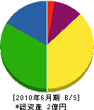 浜田電機 貸借対照表 2010年6月期