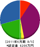 本田建材 貸借対照表 2011年6月期